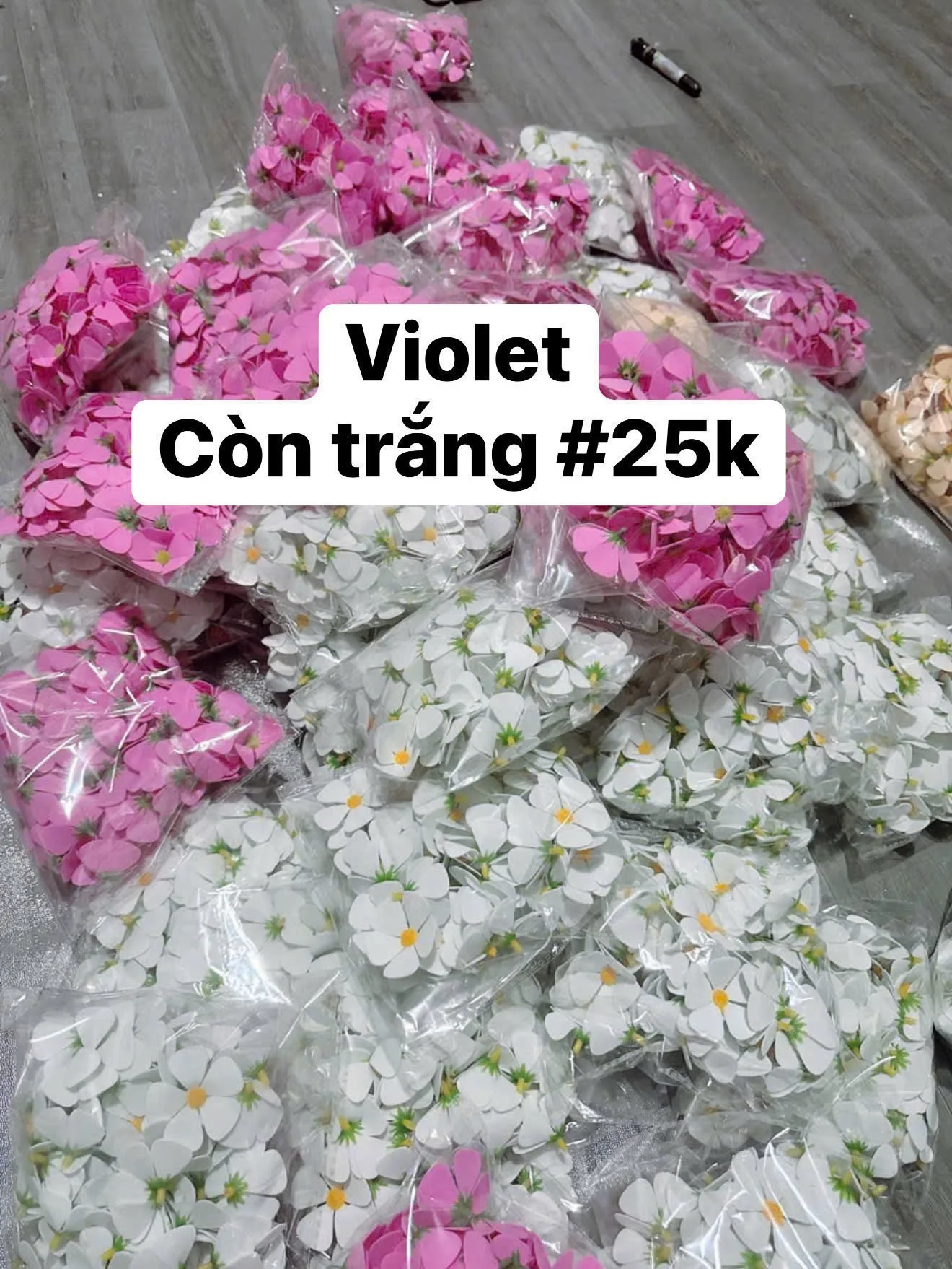 Hoa violert điểm