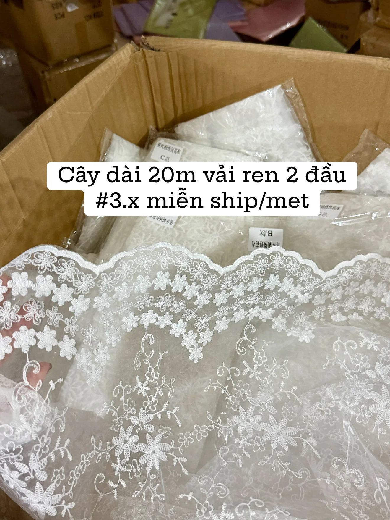 Fresship/ Cây vải ren 20m