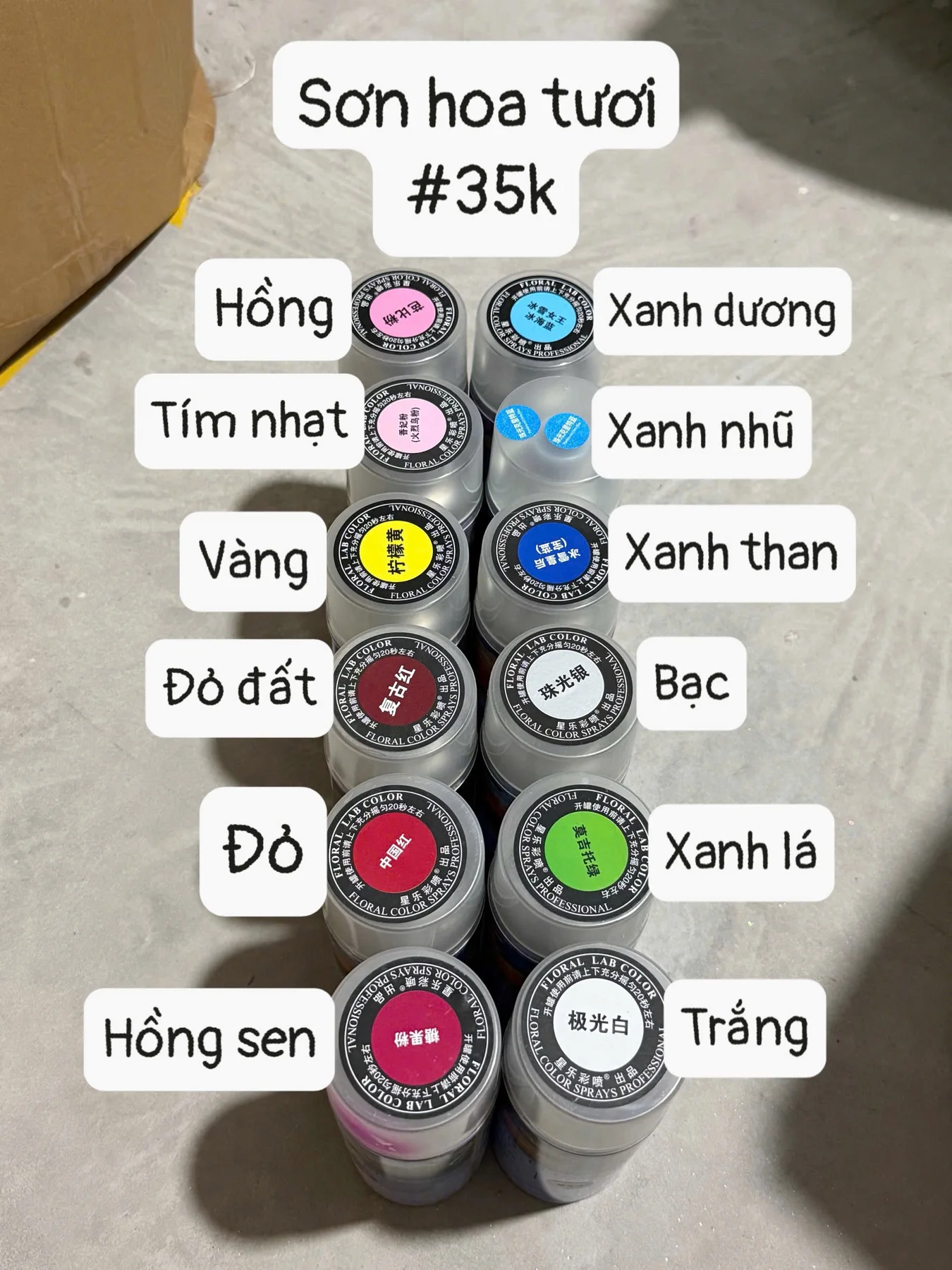 Sơn Sịt Hoa