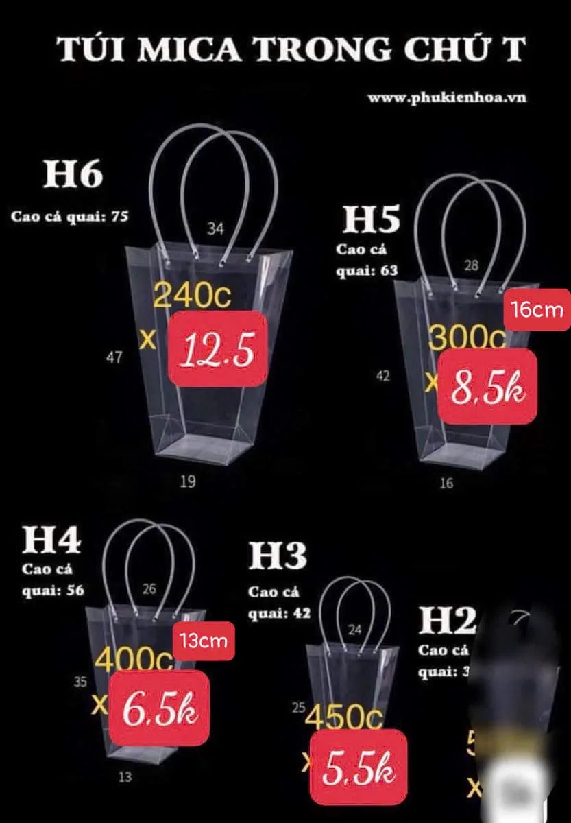 10c Túi  H4/ kích thước như ảnh shop đăng